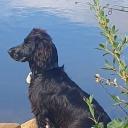 Guillaume Duquesnay profile picture